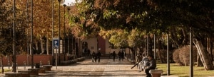 Alicia Barroso Ludeña y Eline de Vries han obtenido un proyecto de la Fundación Ramón Areces