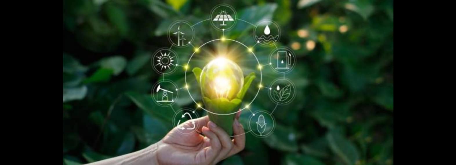 Training Session of the Dirección General de Seguros about "Sustainability and ESG values"