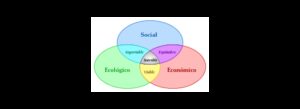 Sustainability Actuary